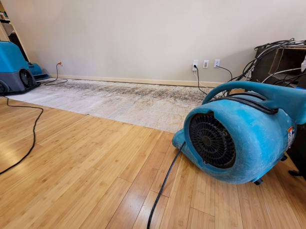 Professional Basement Flood Cleanup technician working in Theresa, WI